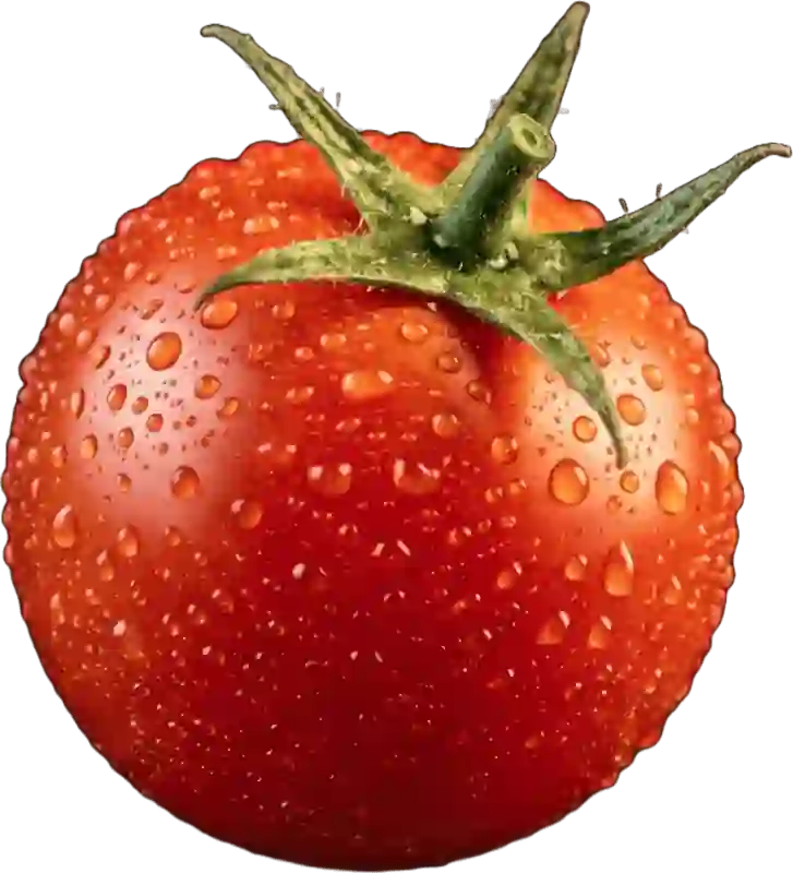 Svež San Marzano paradižnik